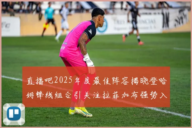 直播吧2025年度最佳阵容揭晓登哈姆锋线组合引关注拉菲加布强势入选