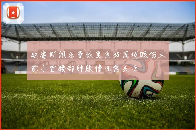 赵睿斯佩尔曼恢复良好周琦眼伤未愈小曾腰部肿胀情况需关注